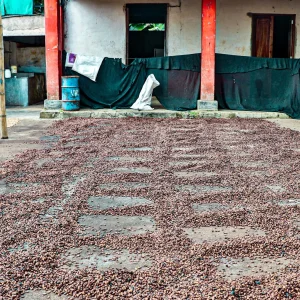 Colombia Narino coffee farm