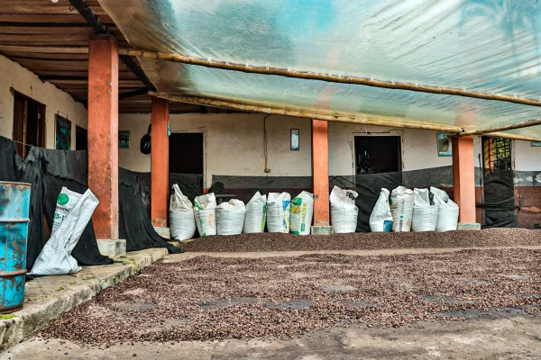 Colombia Narino coffee farm