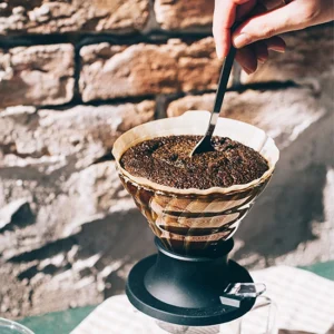 Hario Immersion Coffee Dripper